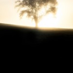 ワンオク be the lightの歌詞和訳で感じたことは!