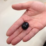 オリーブの実の意外な使い方!実はこんな風にも使えます!