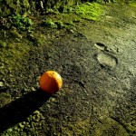 みかんのカロリーは?食べ過ぎるとヤバイ?