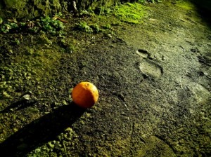 みかんのカロリーは？食べ過ぎるとヤバイ？