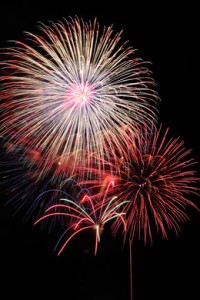 地元奈良民が教える若草山の山焼き！日程等やおすすめスポットは！