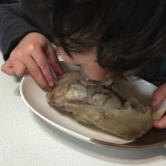 豚足のカロリーって一本でどれくらい?それを消費するには?