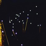 2019の蛍観賞！奈良の目的別おすすめスポットをまとめてみた。