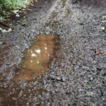 クロスバイクに泥除けは必要だ!と思う理由を考えてみた。