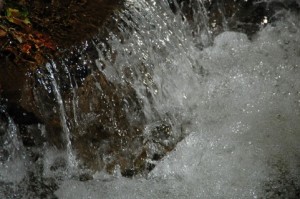 奈良県天川村の蛍は家族で1日中楽しめる、おすすめスポットです！