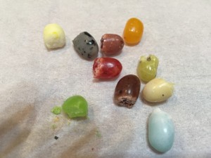 ハリーポッター百味ビーンズのまずい味をランキングにしてみた