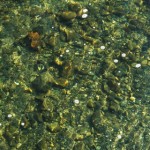 奈良で川遊びするならやっぱり天川村がおすすめだよ~