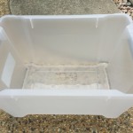 教えて!カブトムシの飼い方!ケースはどんなのがいいの?