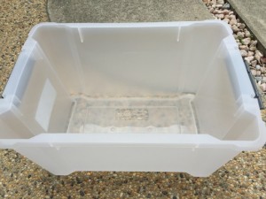 教えて!カブトムシの飼い方!ケースはどんなのがいいの?