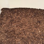 カブトムシの飼い方!土ってどんなのがおすすめですか?