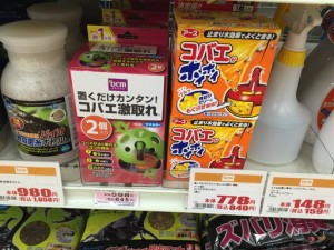 カブトムシを飼育するならコバエ対策は必須ですか？