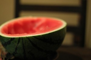 え?カブトムシの飼育で、えさってスイカじゃダメなの!