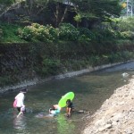 大阪にだって子供に安心な綺麗な川遊びスポットはありますよ~