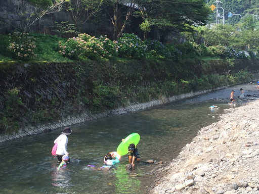 大阪にだって子供に安心な綺麗な川遊びスポットはありますよ 冒険家族