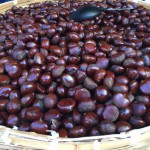 甘栗のカロリーって一粒でどれくらいあるの？んで、ダイエットにはええのか？