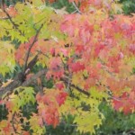 奈良の紅葉を見に行くなら見頃な時期はいつから?