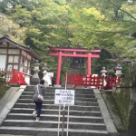 談山神社の紅葉の見頃っていつですか?