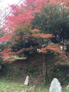 憧れの吉野山の紅葉。混雑時に気を付けるべきこと