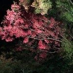 紅葉で吉野に行くなら、ライトアップはちょっと待って!