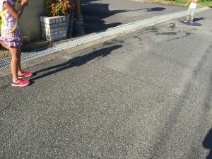 IMG_9286