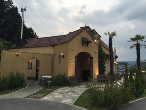 IMG_9684