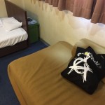 ワンオクと一緒に阿波踊りライブ!2017ambitionsツアーin徳島体験レビュー