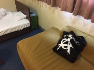 ワンオクと一緒に阿波踊りライブ!2017ambitionsツアーin徳島体験レビュー