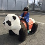 激安って噂の奈良県にある生駒山上遊園地の料金って本当はいくらするの?