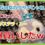 ステラルーってただの紫のウサギやん!って言ったら、嫁が値段も見ずにグッズを爆買いしたので、画像付きで紹介w