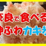 奈良でかき氷のおすすめと言えば、マツコの知らない世界でも紹介された神ふわ過ぎる日之出製氷ヒノデが最高だ!