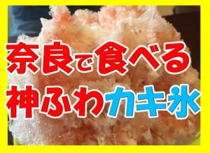 奈良でかき氷のおすすめと言えば、マツコの知らない世界でも紹介された神ふわ過ぎる日之出製氷ヒノデが最高だ！