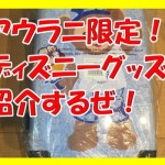 ハワイのアウラニではどんな限定ディズニーグッズが売ってるのか紹介するぜ!