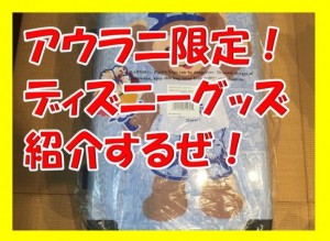 ハワイのアウラニではどんな限定ディズニーグッズが売ってるのか紹介するぜ！