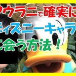 ハワイのアウラニでディズニーキャラクターに確実に会え写真やサインをゲットできる方法とは?