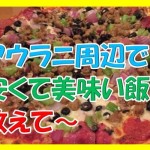 アウラニでディナーはちょっと待て!周辺のコンビニ等で安く済ませるのがおすすめ!