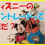 ハワイのアウラニで知った世界中のディズニーファンと交流できるピントレード実際にやってみたら!