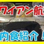 ハワイアン航空の機内食ってどんなの?子供用って頼める?アレルギー除去できる?