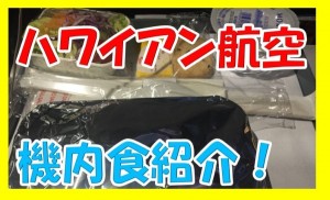 ハワイアン航空の機内食ってどんなの？子供用って頼める？アレルギー除去できる？