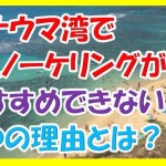 口コミでは教えないハナウマ湾でシュノーケリングをおすすめ出来ない6つの理由とは?