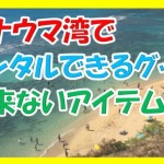 マジ必要!ハナウマ湾でレンタルできるグッズと持参すべきアイテムを紹介するぜ!