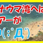 もう迷わない!ハナウマ湾のおすすめな行き方!これ知ってハワイ旅行がより充実した話。