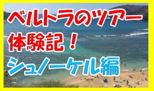 ベルトラでハワイのハナウマ湾のシュノーケリングツアーに参加したらどうなった？