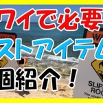 初めての海外!子連れでハワイに行くなら持っていくべき9個の持ち物【グッズ】とは?