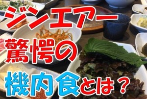 本気か？LCCジンエアーの機内食が凄すぎて驚嘆を隠せない！これが奴らのやり方か～！