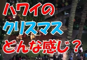 ハワイのクリスマスはどんな感じ?お店がほとんど休みってマジ?実際に体験してみた!