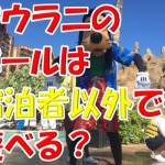 ハワイのアウラニディズニーリゾートのプールは宿泊者以外でも利用できますか?