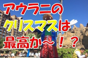 おすすめできない？アウラニで過ごすクリスマスってどんな感じ？イベントとかある？