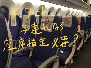 LCCスクートで子供連れでハワイに行ったから座席指定って必要かブログに書いてみた