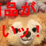 香港ディズニーランドでお土産買ってパッケージエクスプレスで公式ホテルに配送サービスを利用。帰国して確認したらグッズが1部なかった時の対応法とは?