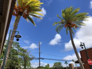 このまま日本で老後？50代が考えるべき海外移住という選択肢